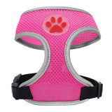 Small Pet Harness