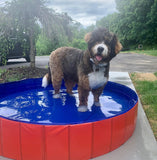 Dog Pool Foldable Dog Swimming Pool and bath