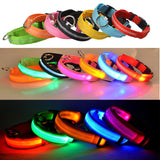 Rechargable Dog LED Flashing Collar