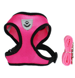 Small Pet Harness