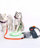 Two Pet Leash