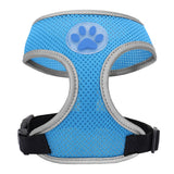 Small Pet Harness