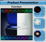 Color changing LED toilet bowl light