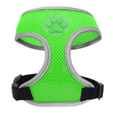 Small Pet Harness