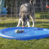 Outdoor Pet and Kid Fountain Sprinkler Mat