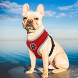 Small Pet Harness