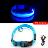 USB Charging Led Dog Collar