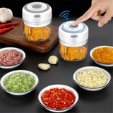 Electric Garlic mixer