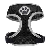 Small Pet Harness