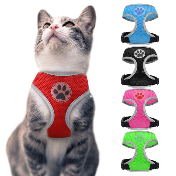 Small Pet Harness