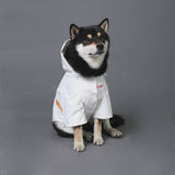 Dog Reflective Shirt