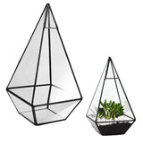 Pyramid Glass Terrarium