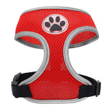 Small Pet Harness
