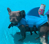 Dog Life Vest